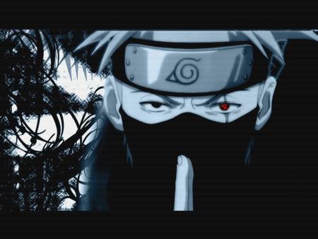 le ninja copieure