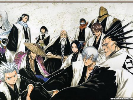 touts les capitaine de bleach